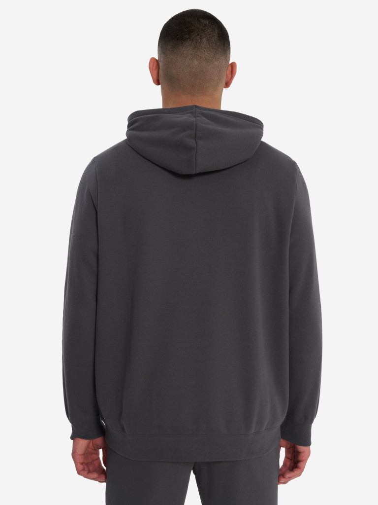 Худи мужское PUMA Ess 2 Color Small No. 1 Logo