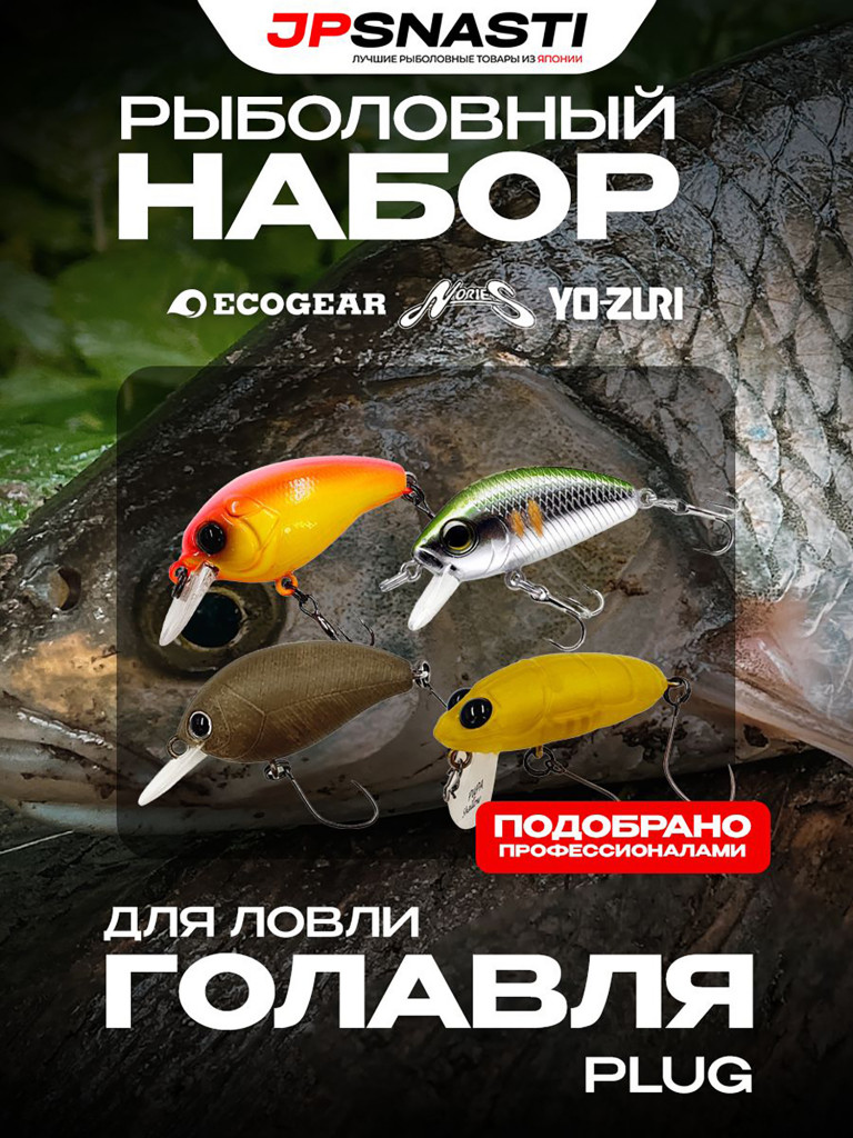 Набор JPSNASTI Chub Set, Plug