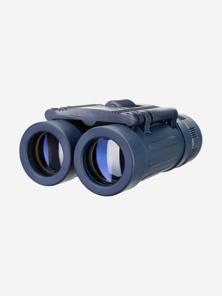 Бинокль Levenhuk Discovery Basics BB 8x21
