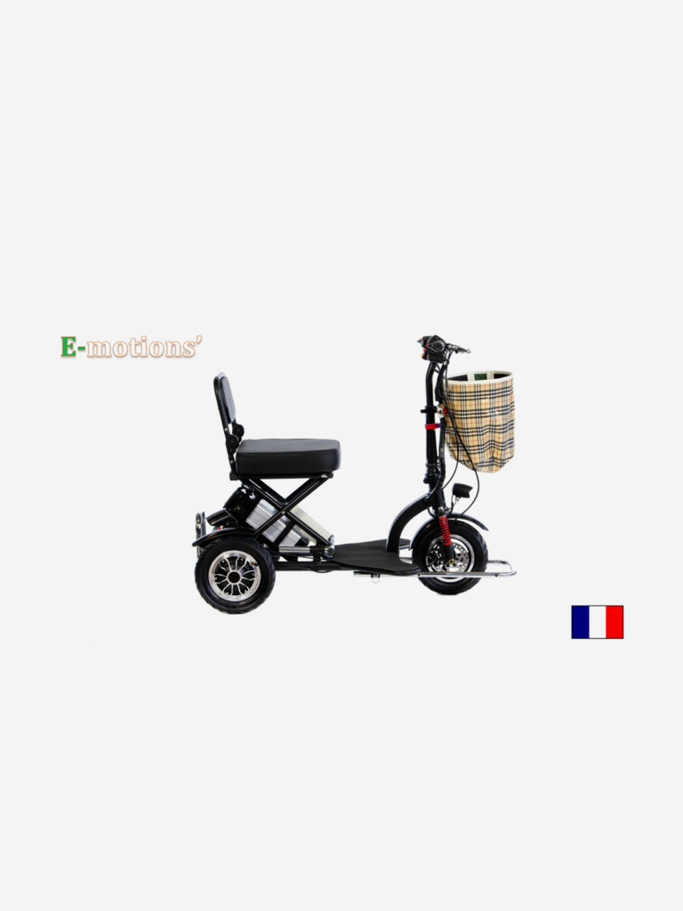 Электротрицикл E-motions' Handytrike v3