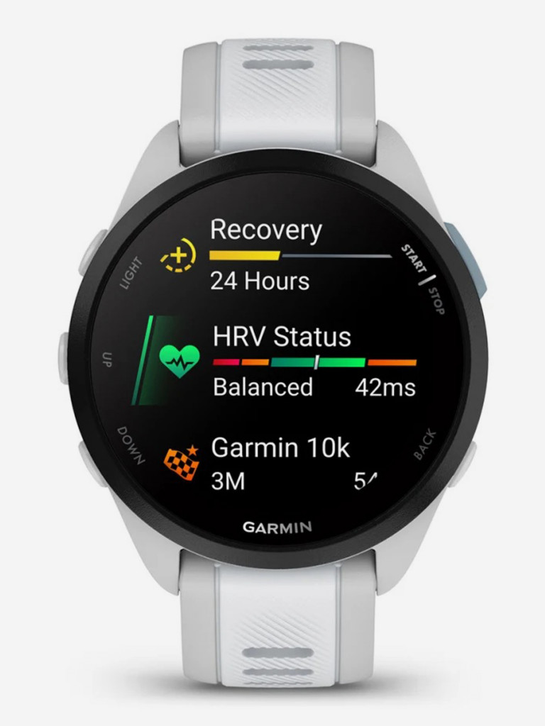 Спортивные часы Garmin Forerunner 165 Mist Gray Whitestone