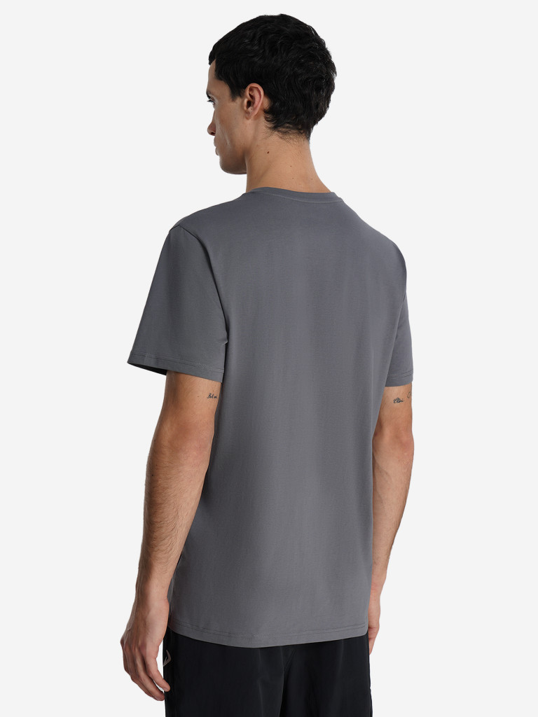 Футболка мужская Demix