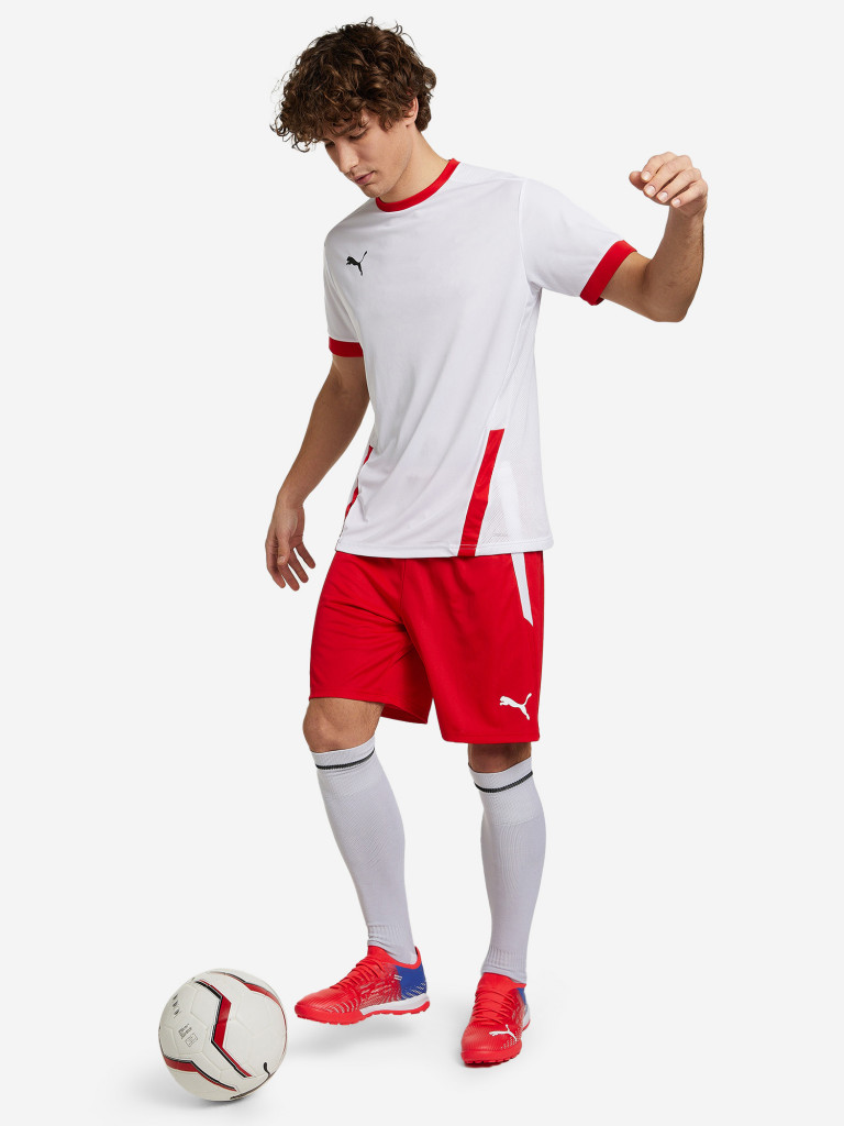 Футболка мужская PUMA teamGOAL 23 Jersey