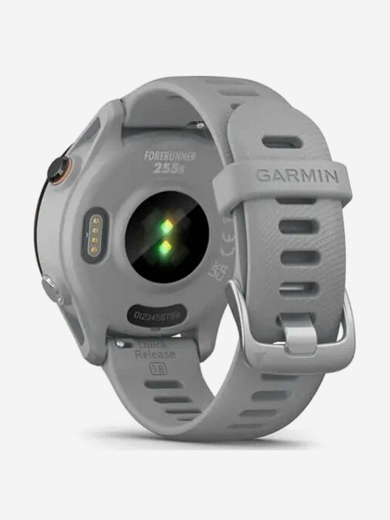 Часы Garmin Forerunner 255S со светло-серым ремешком 010-02641-12