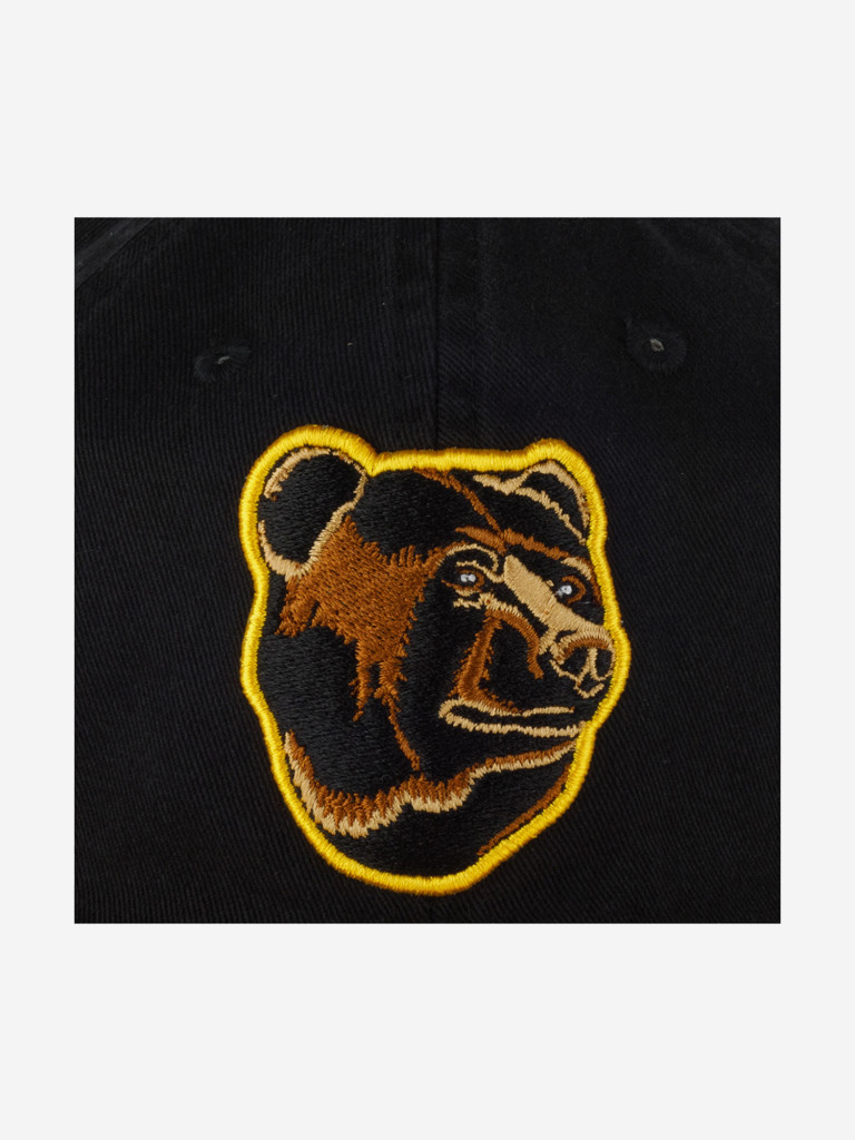 Бейсболка AMERICAN NEEDLE 40742B-BBR Boston Bruins Blue Line NHL (черный)