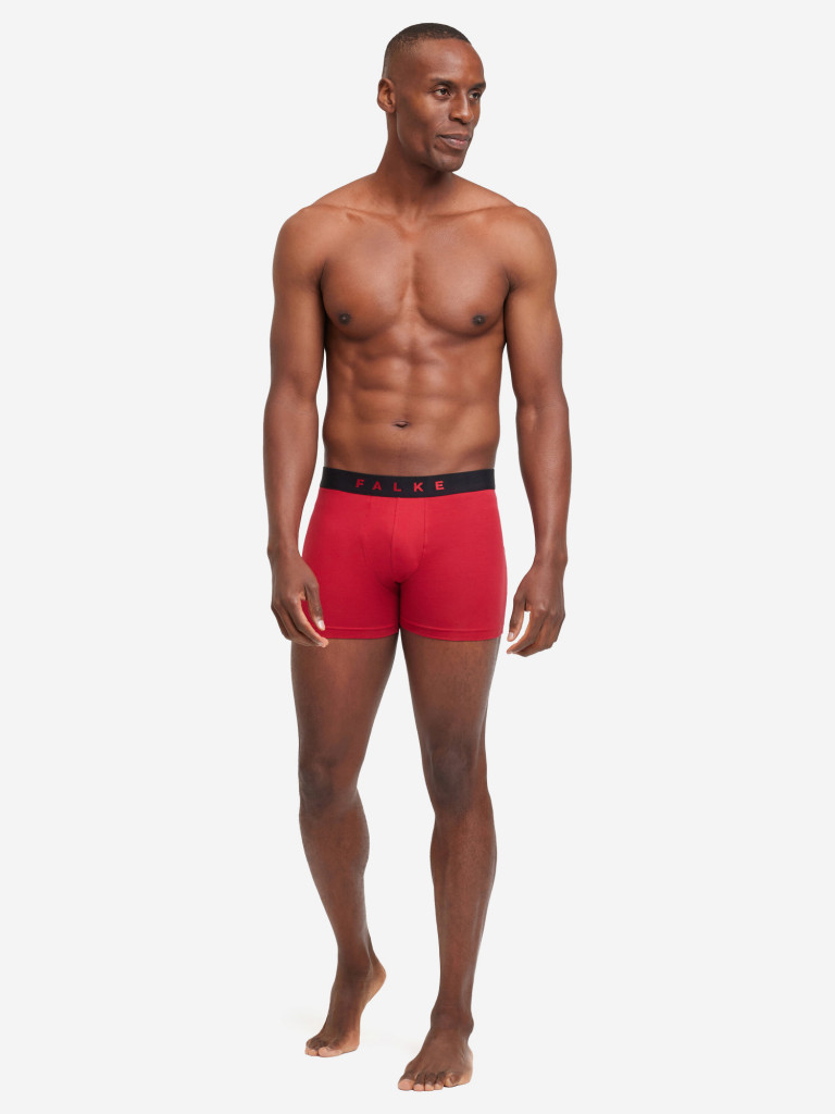 Набор мужских трусов FALKE