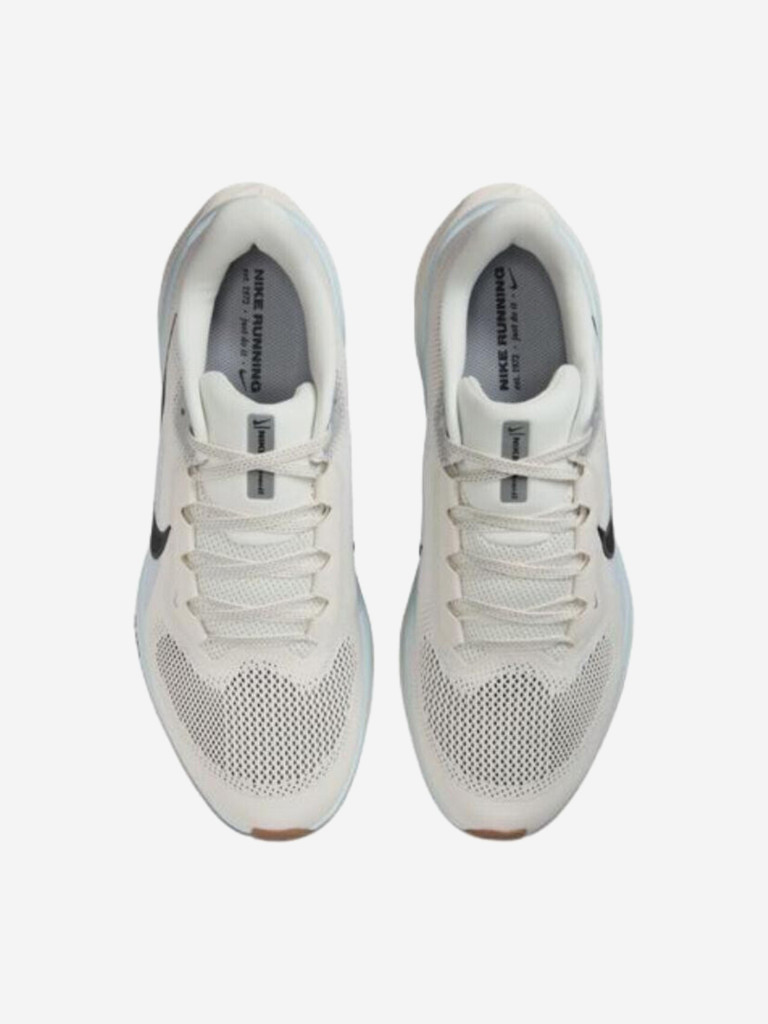 Кроссовки Nike Air Zoom Pegasus 41