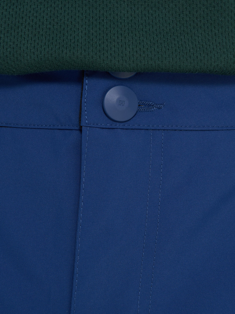 Брюки утепленные мужские DC Shoes Banshee