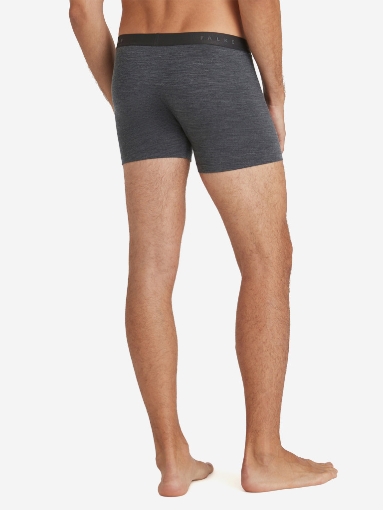 Мужские трусы FALKE