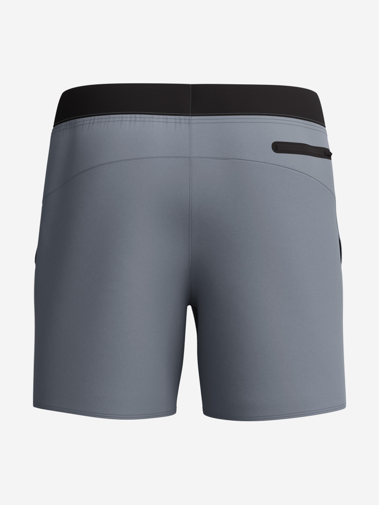 Шорты плавательные мужские Speedo Solid