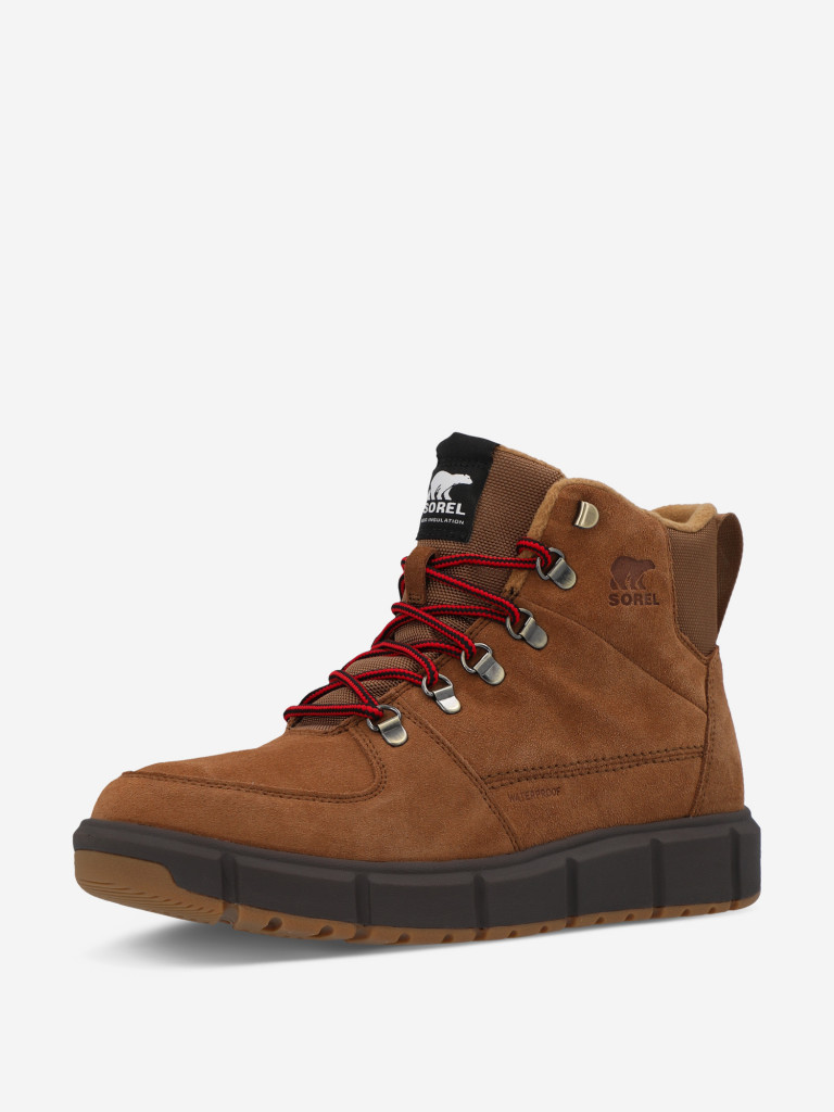 Sorel galaxy explorer online