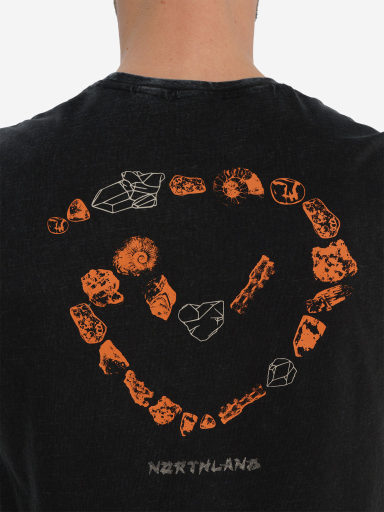 Футболка мужская Northland