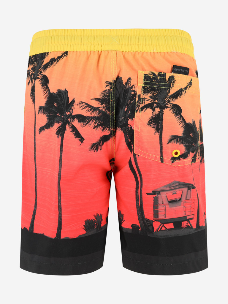 Шорты для мальчиков Quiksilver Paradise Volley