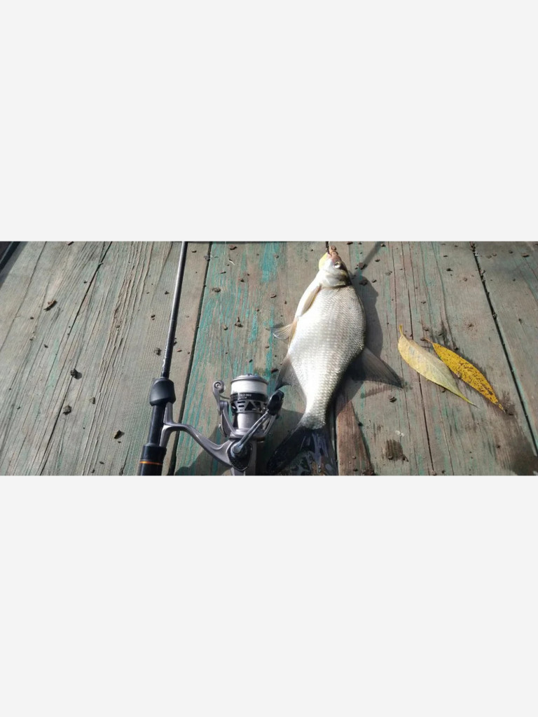 Катушка для мормышинга FISH4FISH MORMO MAESTRO, 800S с 8+1 подшипниками, 0.06мм-100м, 125гр
