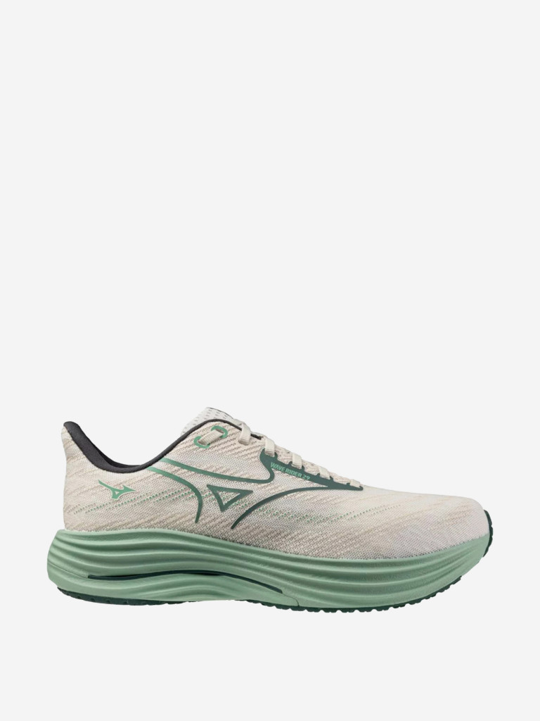 Кроссовки мужские Mizuno Wave Rider 29