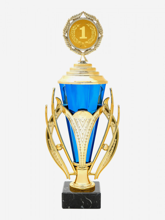 Кубок для награждения за 1 место синего цвета