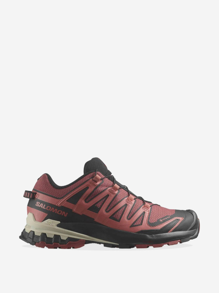 Кроссовки Salomon XA PRO 3D V9 GTX W