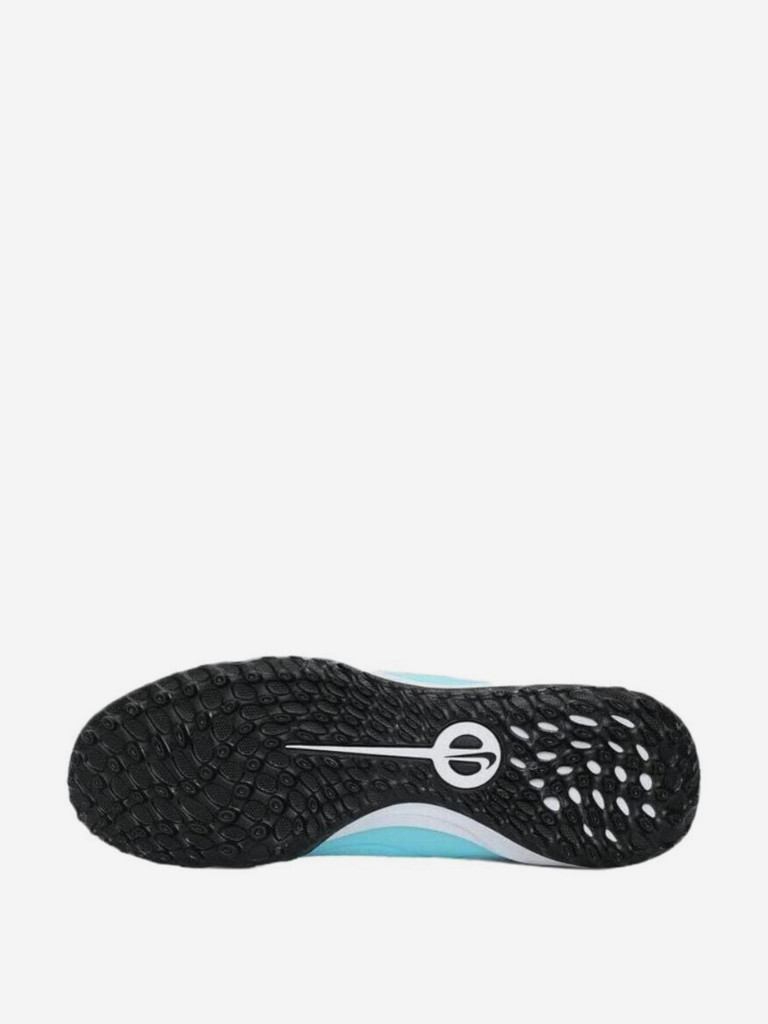 Сороконожки Nike Tiempo Legend 10 Academy TF