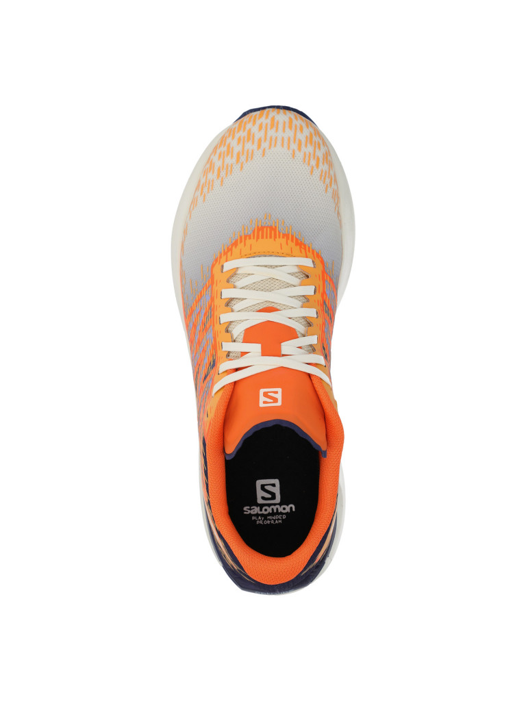 Кроссовки мужские Salomon Sonic 5 Balance
