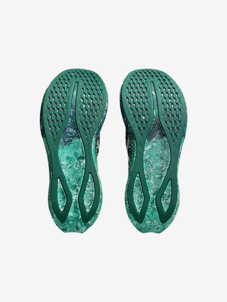 Кроссовки мужские ASICS Noosa Tri 16