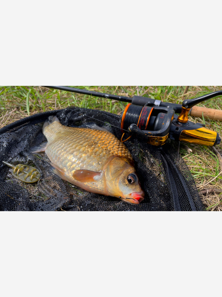 Катушка карповая с байтраннером Волжанка Карп Мастер 3000