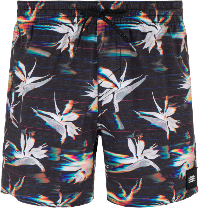 Шорты пляжные мужские O'Neill Hm Sunrise