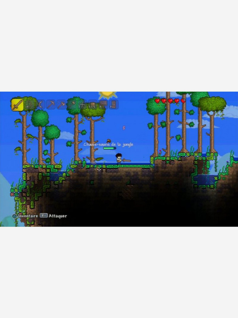 Видеоигра для PlayStation Terraria PS Hits (Русские субтитры)