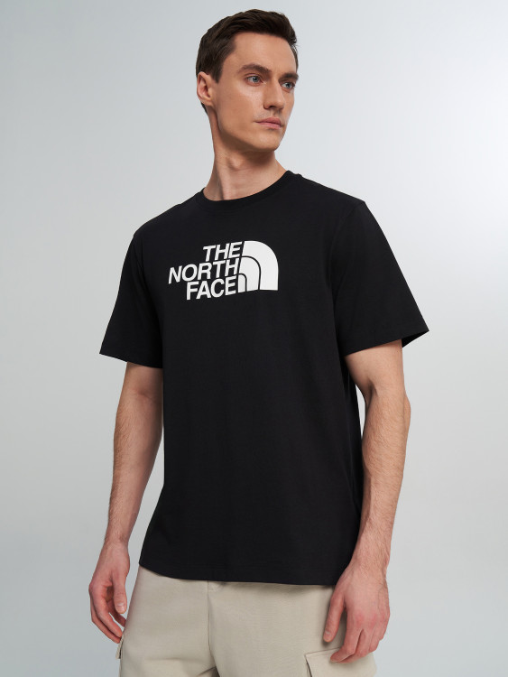 Футболка мужская The North Face Evolution
