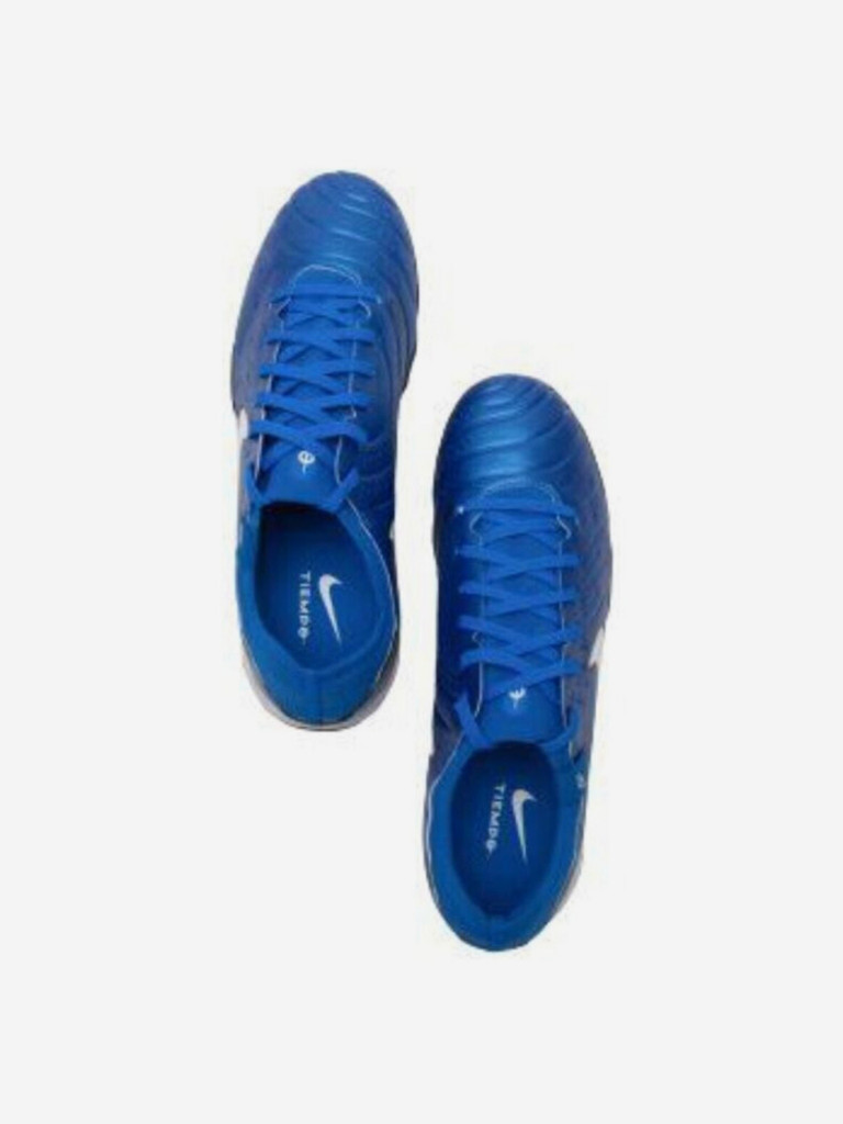 Сороконожки Nike Tiempo Legend 10 Pro TF