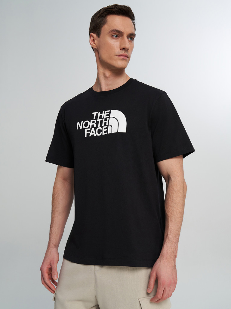 Футболка мужская The North Face Evolution