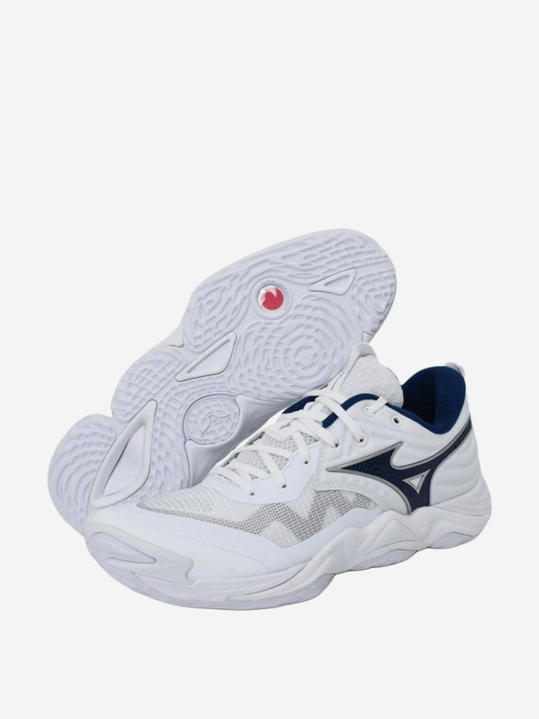 Кроссовки мужские Mizuno Wave Momentum Elite