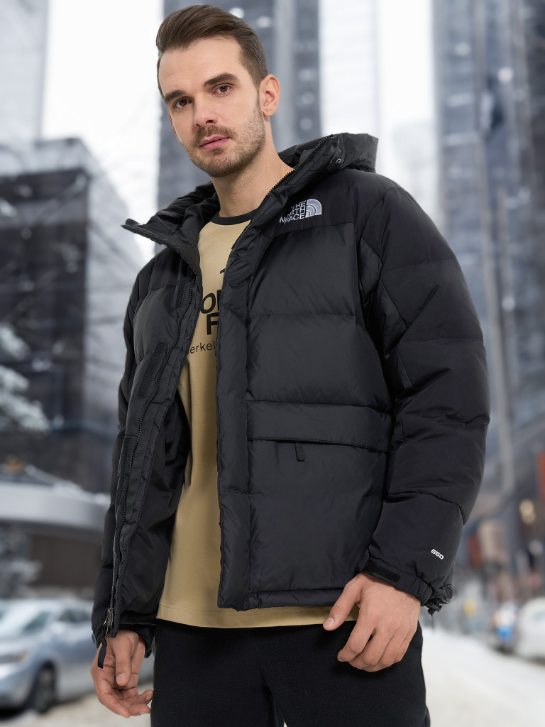 The North Face Hmlyn NF0A4QYXJK31 38399 20