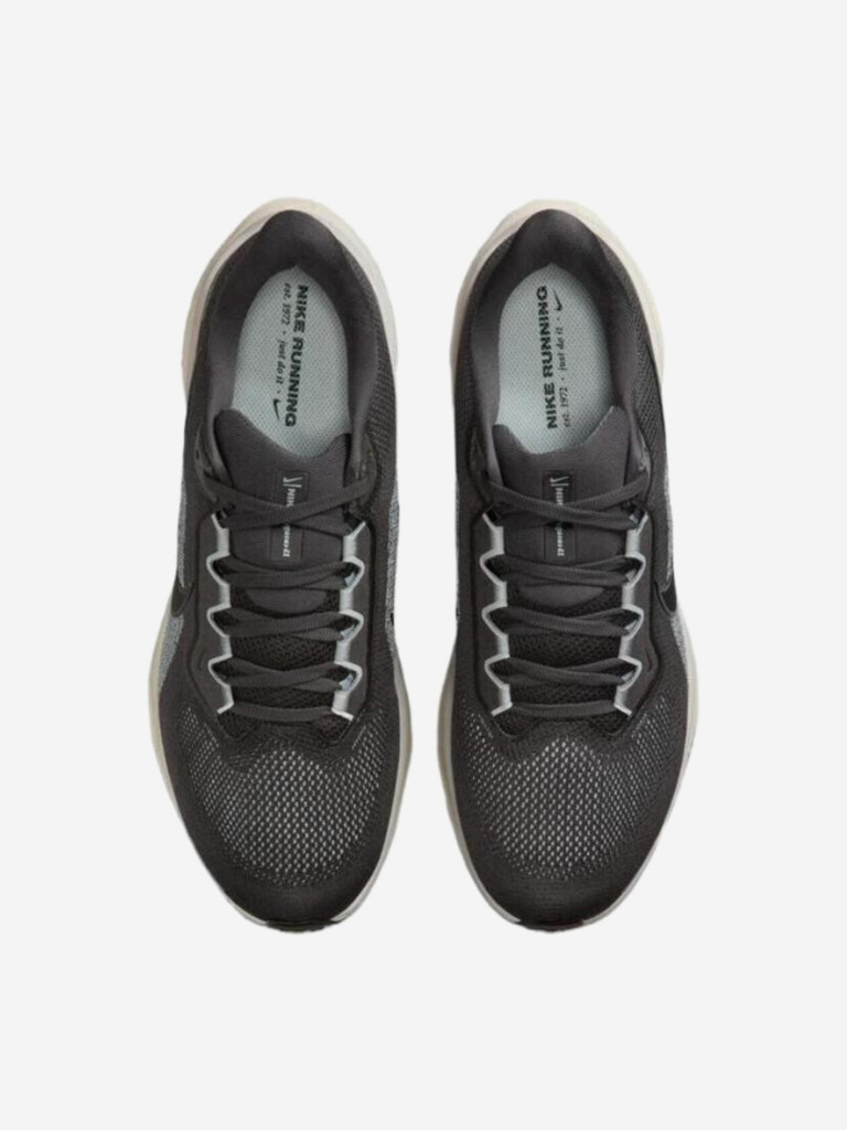 Кроссовки Nike Air Zoom Pegasus 41