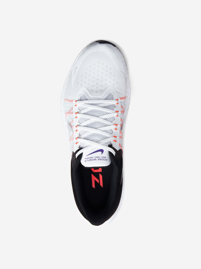 Кроссовки мужские Nike Winflo 8