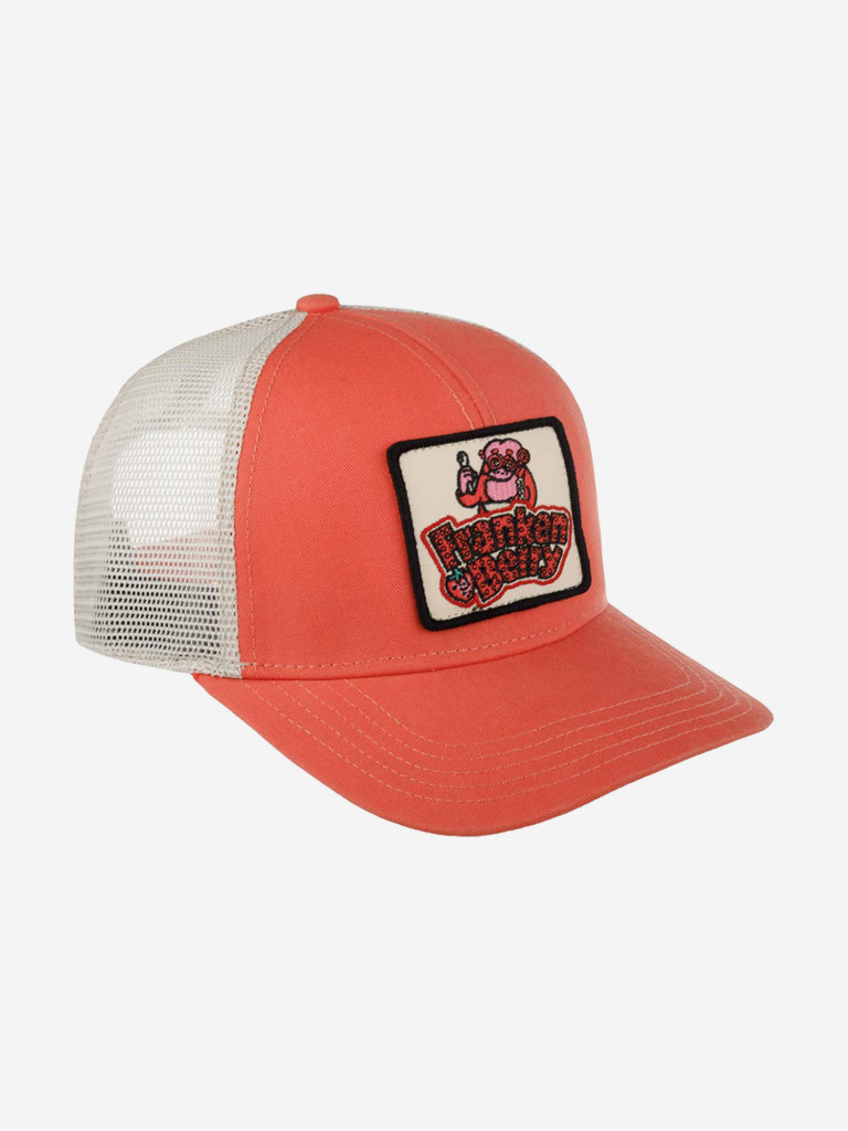 Бейсболка с сеточкой AMERICAN NEEDLE 22005A-FBERRY Franken Berry Twill Valin