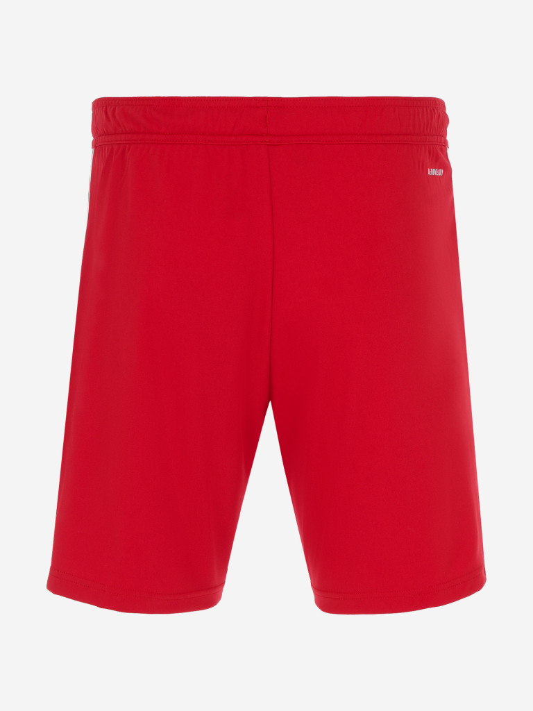 Adidas colorful shorts online