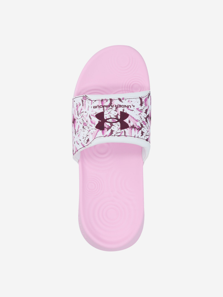 Шлепанцы женские Under Armour Ignite Select Graphic