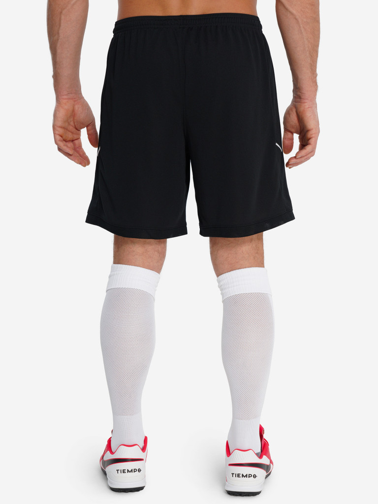 Шорты мужские Nike Acd25