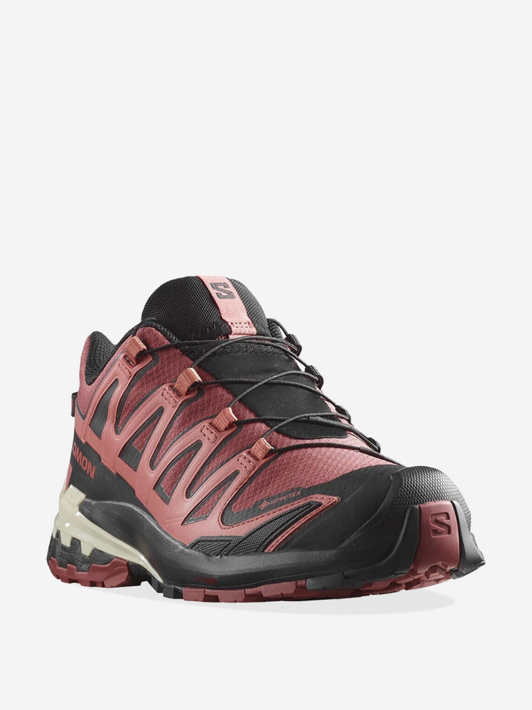 Кроссовки Salomon XA PRO 3D V9 GTX W