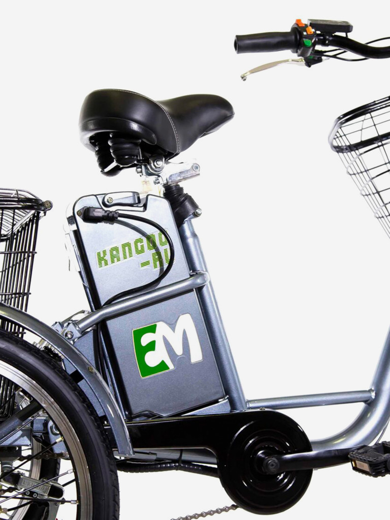 Трехколесный электровелосипед E-motions' KANGOO-RU 700w