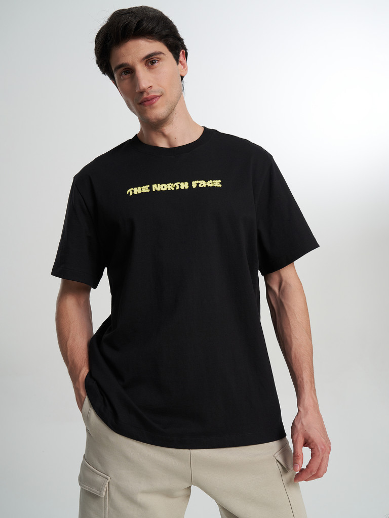 Футболка мужская The North Face Logo Twist