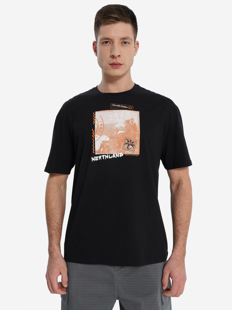 Футболка мужская Northland
