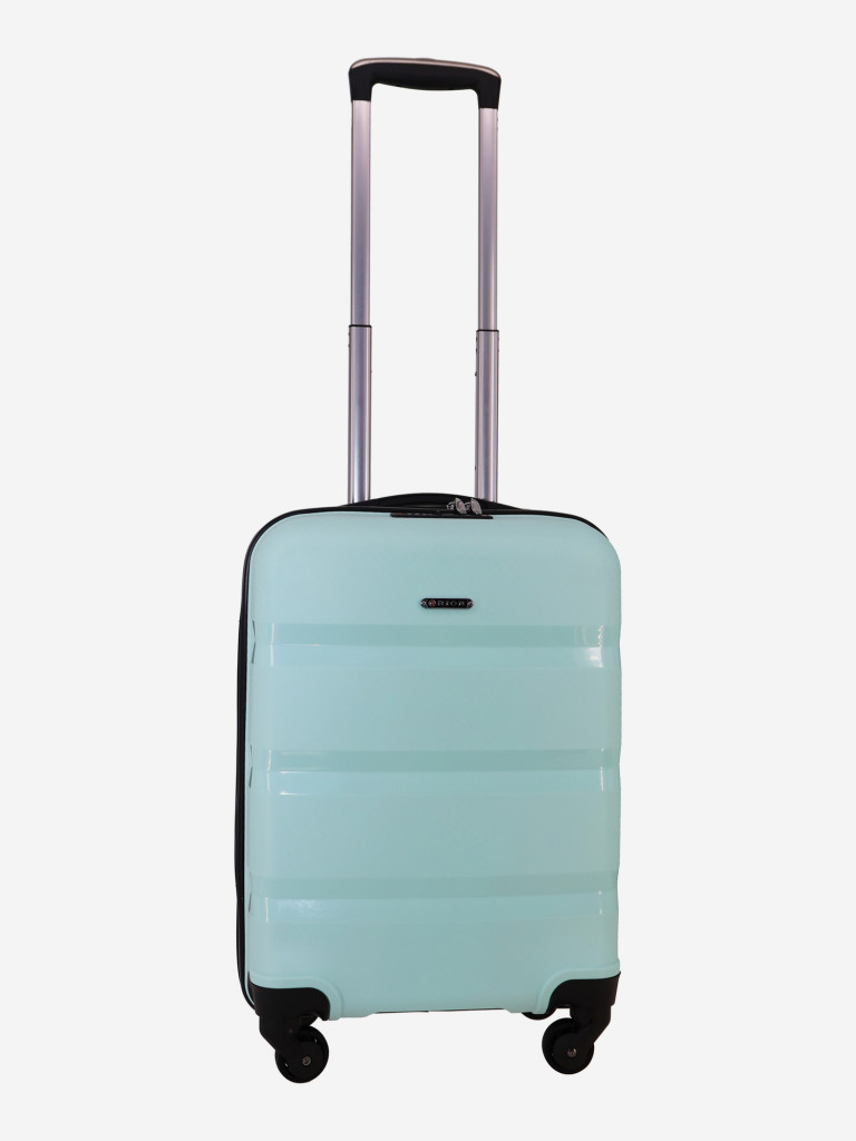 Чемодан RION+ S