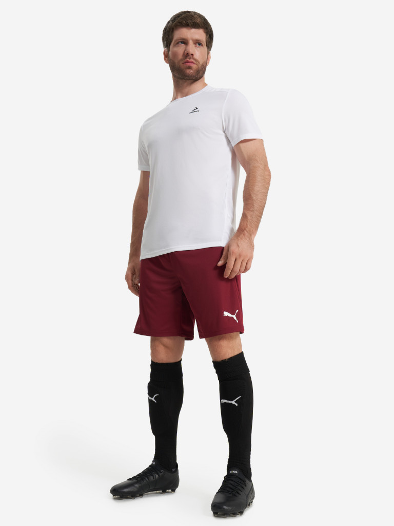 Шорты мужские PUMA