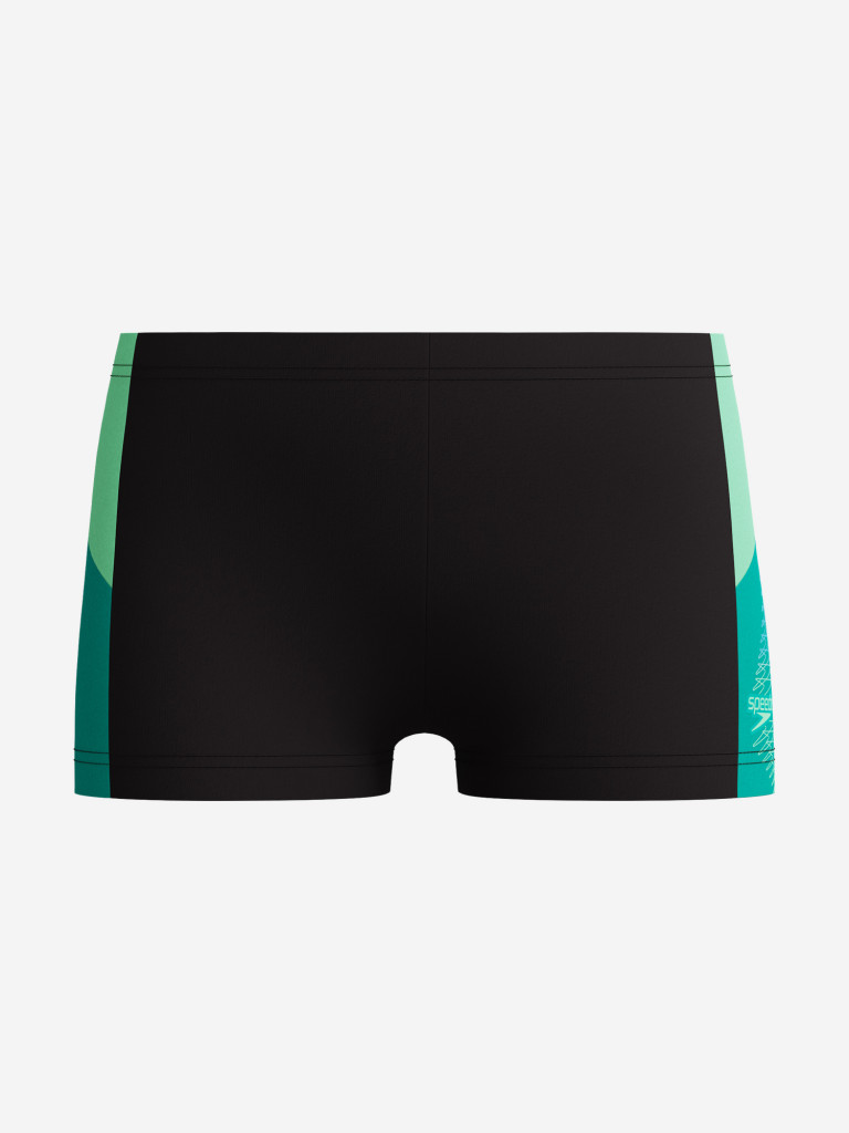 Плавки-шорты для мальчиков Speedo Dive