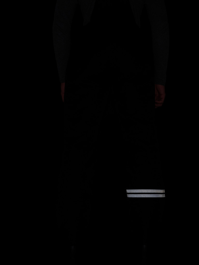 Брюки утепленные мужские SERGIO TACCHINI Ski