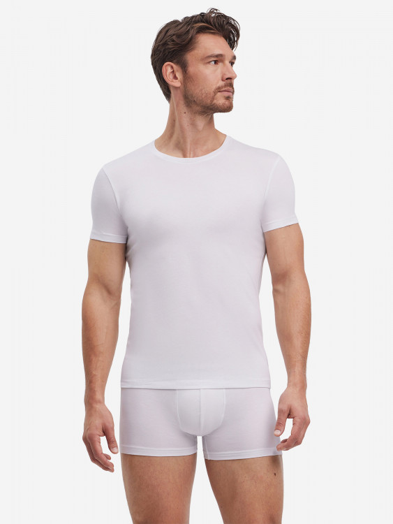 Набор мужских футболок FALKE