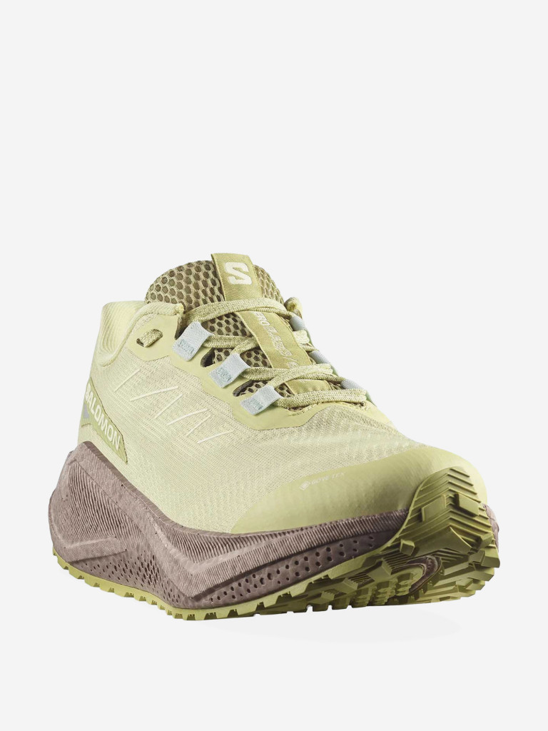 Кроссовки беговые Salomon Aero Blaze 3 GRVL GTX W