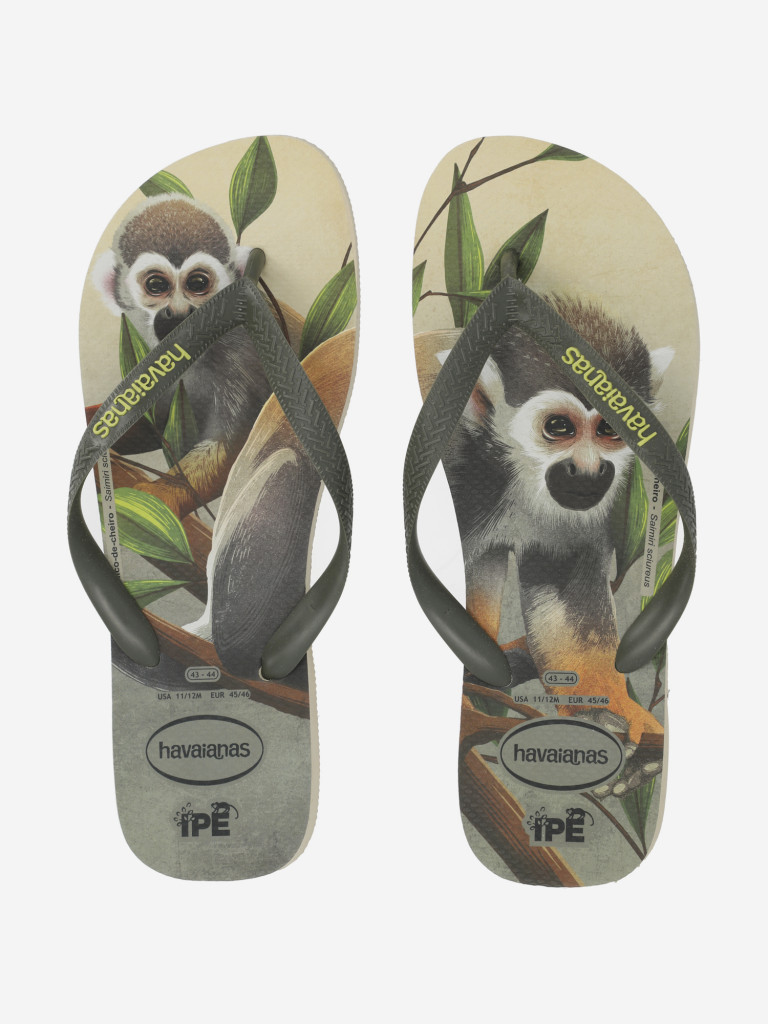 Шлепанцы мужские Havaianas HAV. Ipe