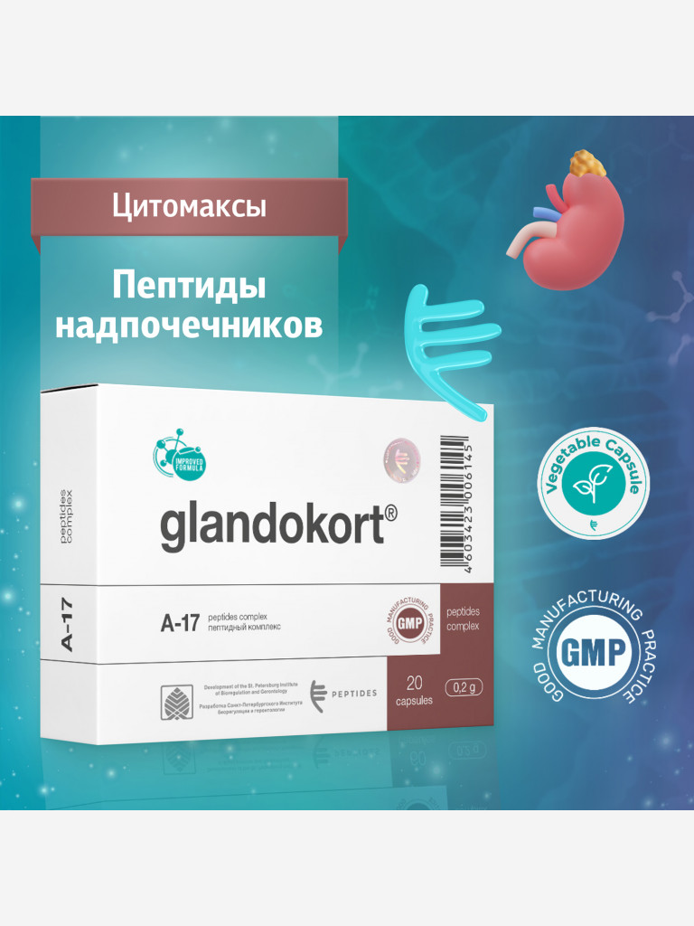 Натуральные пептиды надпочечников - Гландокорт 20 капсул